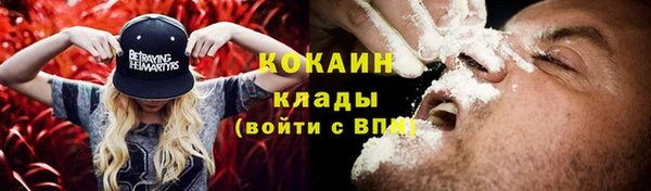 прущие грибы Абдулино