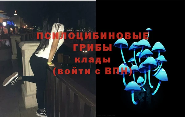 прущие грибы Покров
