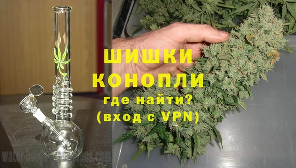 прущие грибы Покров