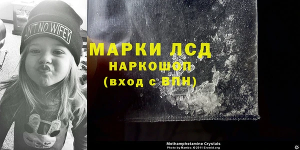 прущие грибы Абдулино